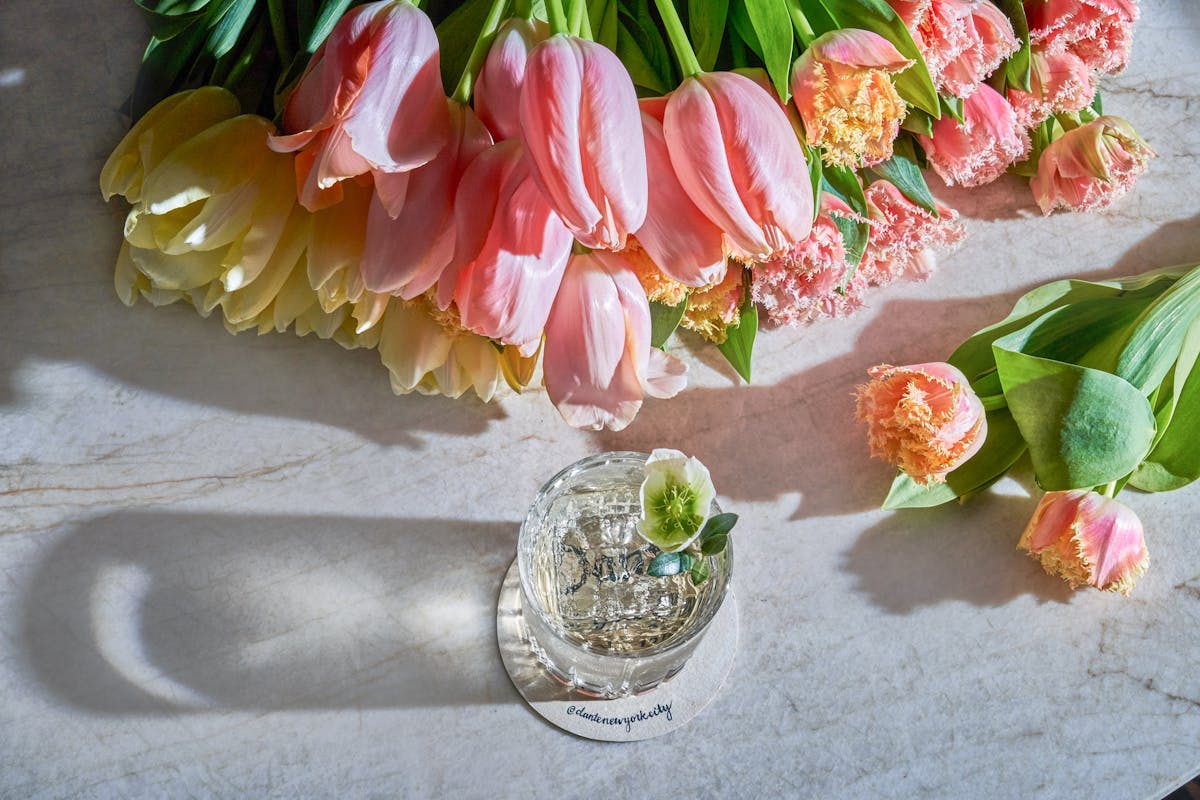 a close up of a flower