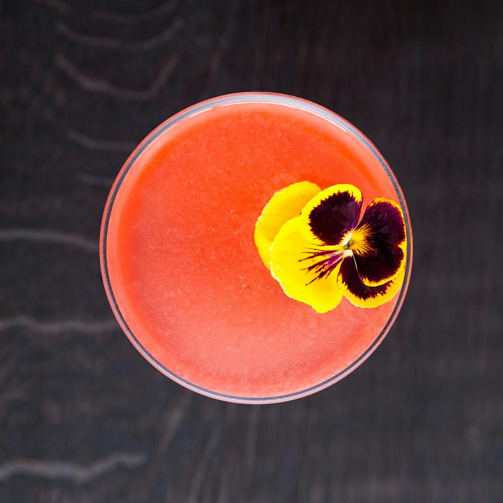 an orange frisbee in it s mouth